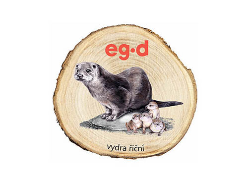 Dřevěný magnet Vydra